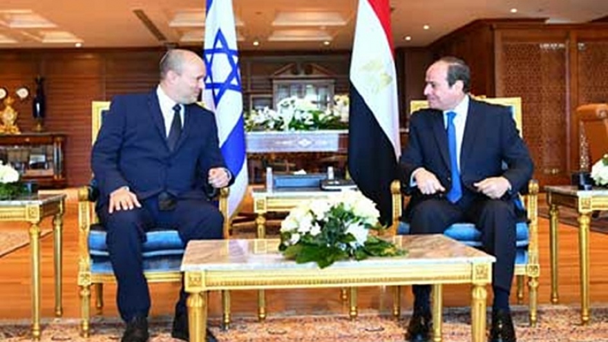 Ai Cập và Israel quan hệ nồng ấm, Ai Cập ủng hộ giải pháp 2 nhà nước